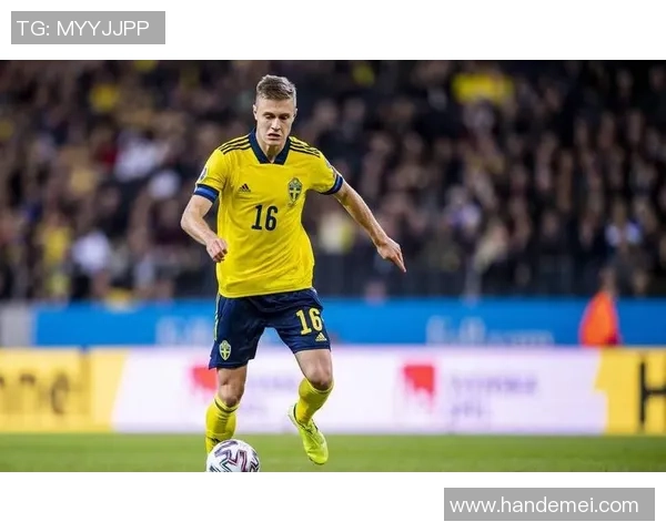 瑞典与韩国激战正酣精彩比赛解说带你领略足球魅力与激情